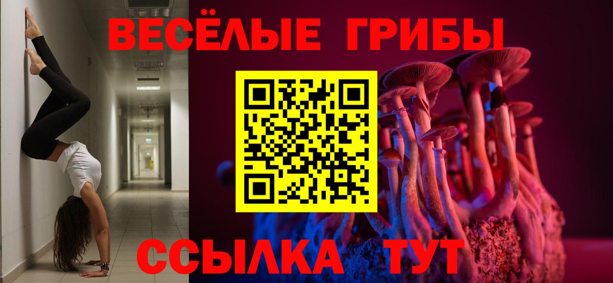Галлюциногенные грибы MAGIC MUSHROOMS Барнаул